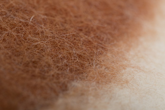 Image 1 of 1x M&Otto Design Cushion Maya