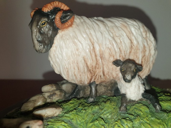 Image 1 of Pecore in campagna