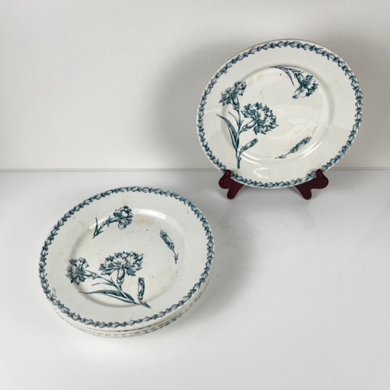 Image 1 of Set of 6 "Carnation" pattern dinner plates, KG Lunéville, ironstone, 19th century
