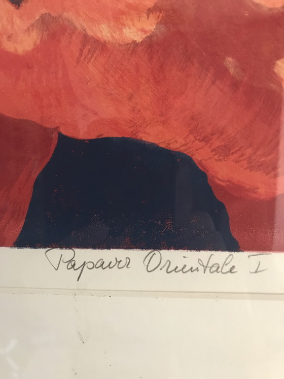 Image 1 of Sérigraphie Hans Dolieslager