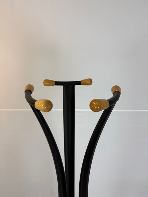 Image 1 of Van Esch Toro