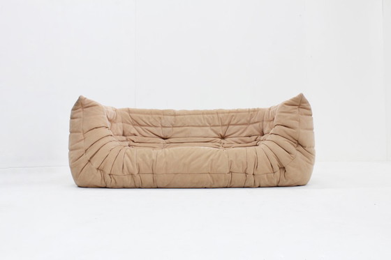 Image 1 of Togo Medium sofa by Michel Ducaroy for Ligne Roset Alcantara