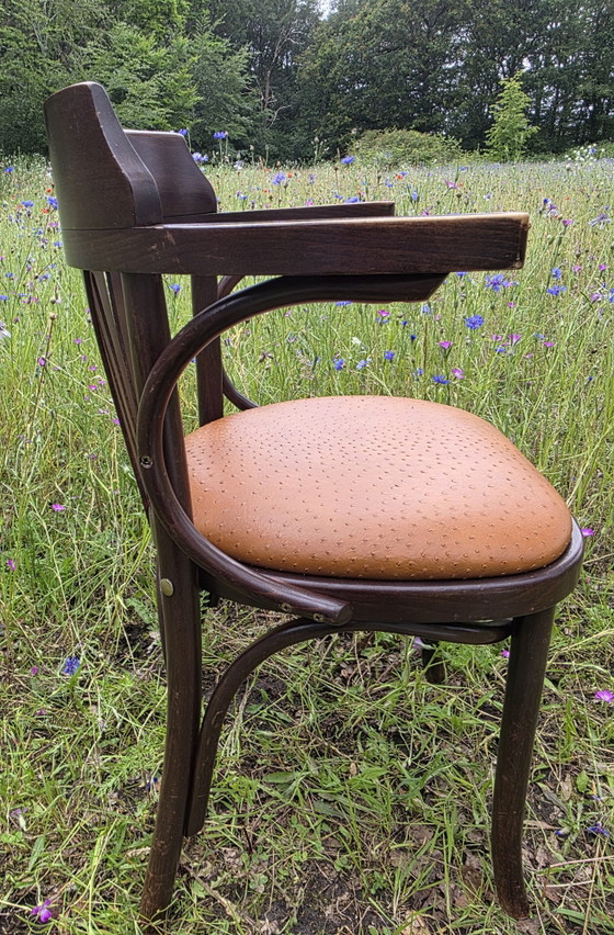 Image 1 of Chaise de café Satellite de style Thonet avec structure en autruche