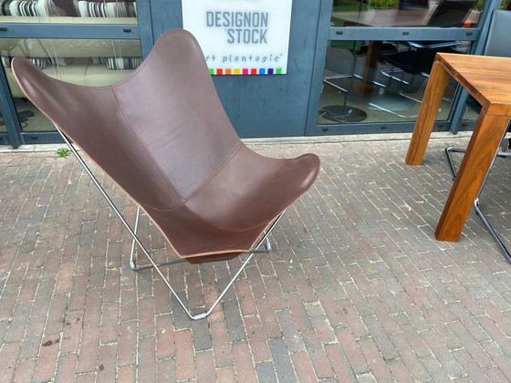 Image 1 of Cuero Mariposa Pampa