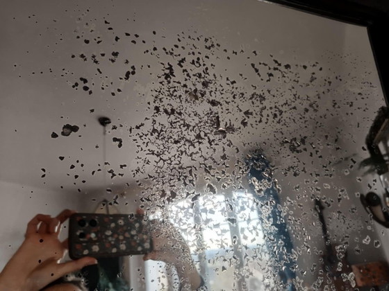 Image 1 of Specchio neogotico in rovere intagliato, circa 1940