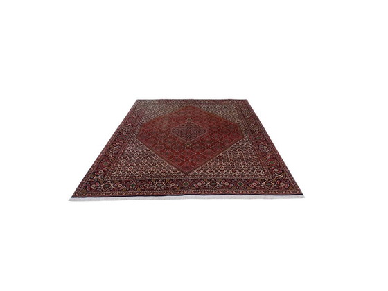 Image 1 of Bidjar – 295 x 205 cm – Wolle auf Baumwolle – Handgeknüpft