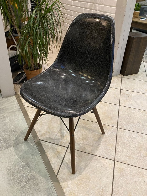 Image 1 of Sedia DSW, fibra nera, tassello nero, noce, Eames, Herman Miller, vintage 1950