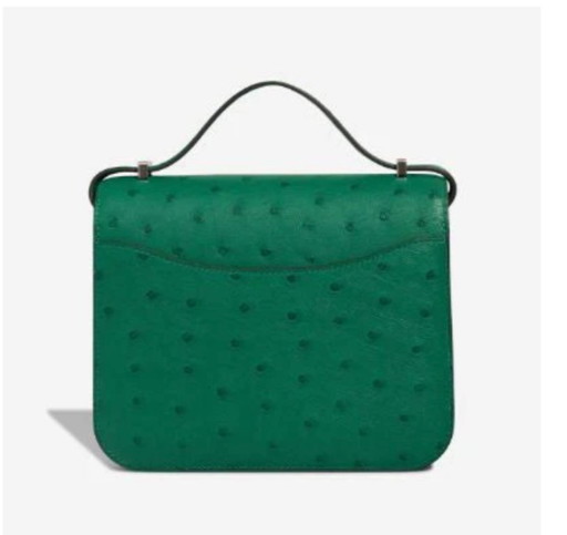 Borsa HERMES Constance en Cuirs exotiques Vert - 103230