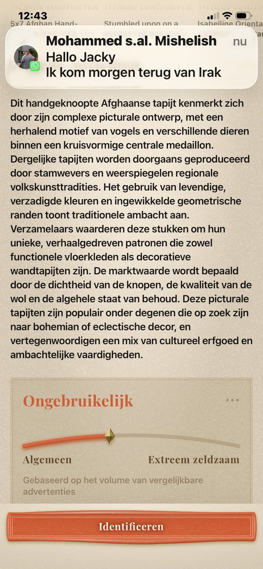 Tapisserie afghane vintage nouée à la main avec des motifs animaliers – vloerkleden en tapijten, Wool (photo 2 of 5)