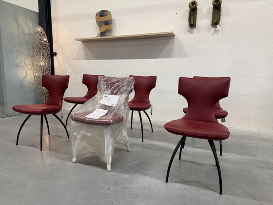 Image 1 of 6 Leolux Callas dining chair Senso Brick