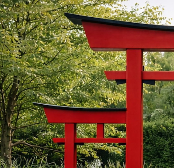 Image 1 of Japanisches MIVA Torii Tor für Garten und Anlagen 630 x 268 cm