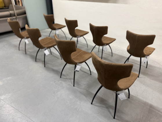 4 Leolux Callas Esszimmerstühle Danza, Leder, Braun (Foto 10 von 12)