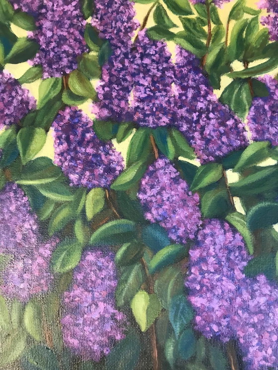 Image 1 of Lilla - dipinto a olio di Irina Gauss