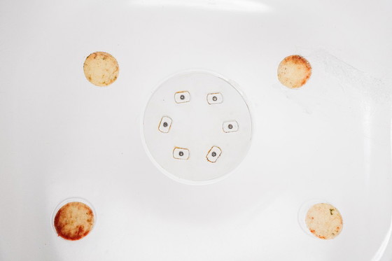 Image 1 of Set of 6 Tulip Dining Chairs by Maurice Burke for Arkana, England, 1960s