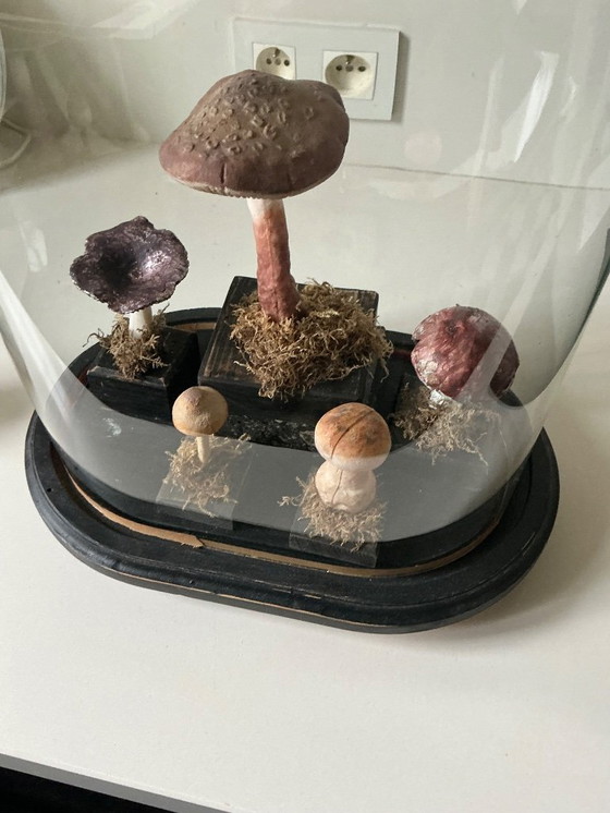 Image 1 of Antique bell jar with vintage educational mushrooms