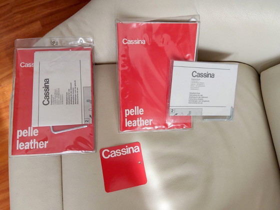 Image 1 of Pair of Cassina K10 Dodo leather armchairs