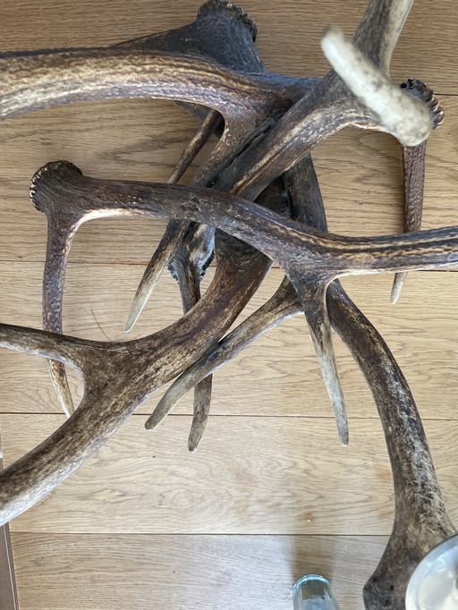 Beautiful Candlestick of Deer Antlers