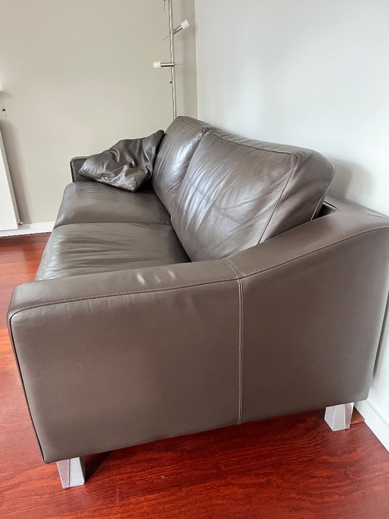 Leolux Antonia 2.5-seater sofa, brown leather, 3-5 seaters, Metal, Modern (photo 4 of 6)