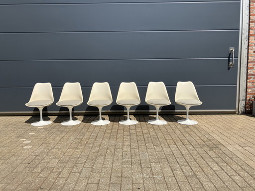 6x Original Vintage Knoll Tulip Dining Chairs Eero Saarinen