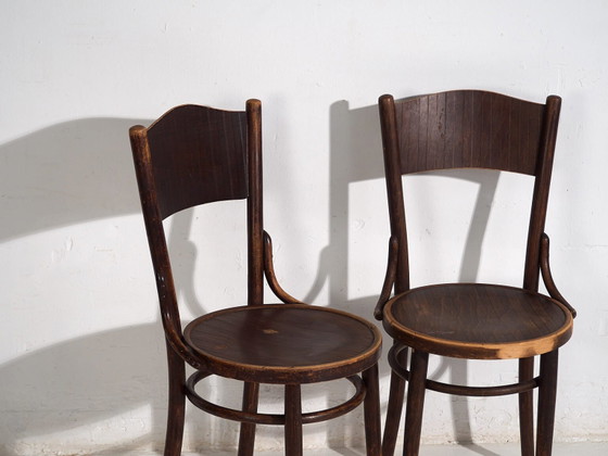 Thonet-Mundus antique bentwood chairs (c.1920). Set of 4 pieces #3 – Dining chairs (photo 29 of 40)