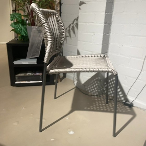 Image 1 of Sedia da pranzo Tonon Cordoba