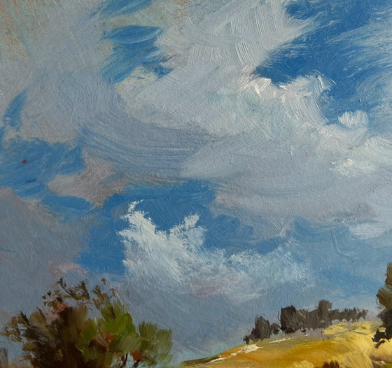 Image 1 of Origineel olieverfschilderij: Zomers rivierlandschap, een verloren hoekje van de natuur.