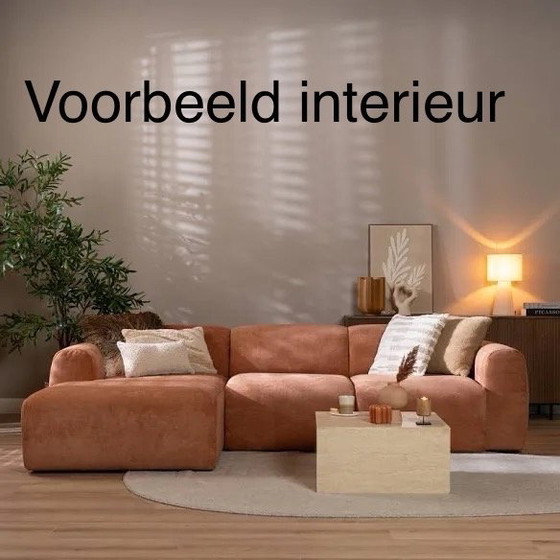 Image 1 of 3 Zitsbank avec Afneembare Bekleding. Couleur terre