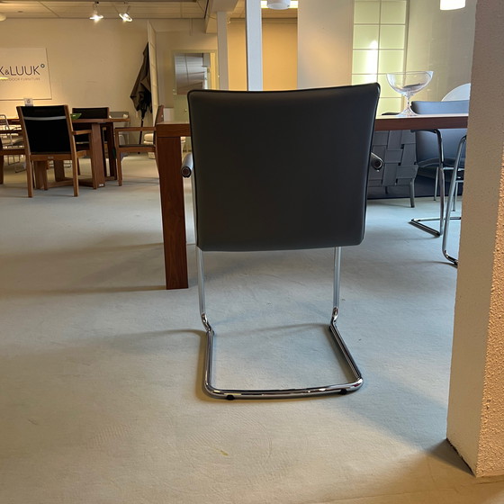 Image 1 of Leolux Freyr Esszimmerstuhl (4er-Set)