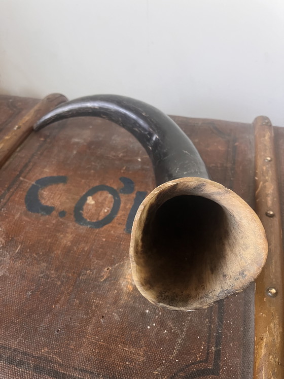 Image 1 of Vaso antico in corno di bufalo