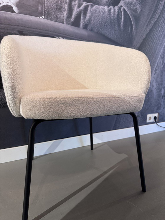 Image 1 of Sedia da pranzo Montel Tune