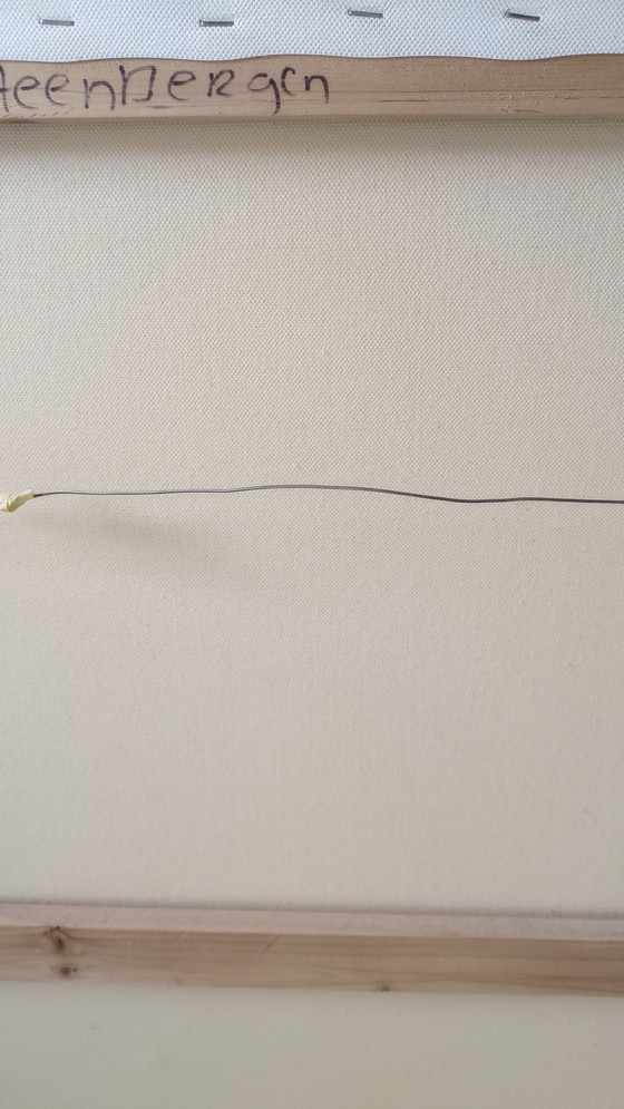 Image 1 of Tineke van Steenbergen SOÑANDO CON USTED