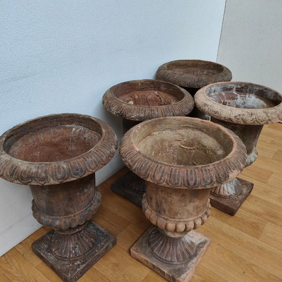 Image 1 of Set van 5 Vintage Franse tuinvazen bloembakken tuinvaas