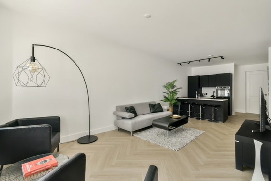 Image 1 of Havee Cloak Pacific Design 3-Sitzer-Sofa grau