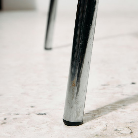 Image 1 of MK11234 Silla austriaca Wiesner-Hager