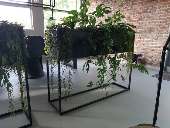 Image 1 of 2 separadores de ambientes de metal visto negro con bolsas impermeables para plantas.