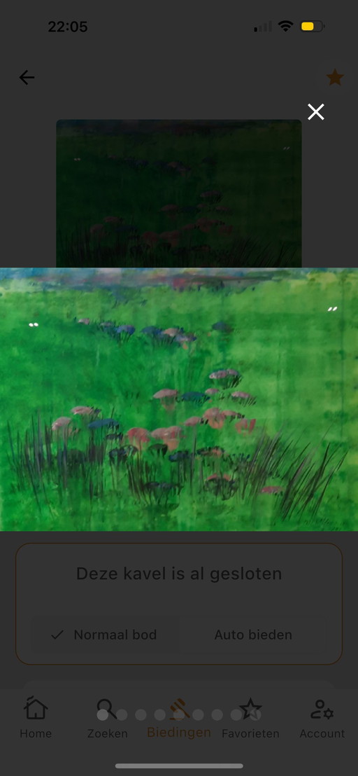 Maya Wildevuur - aquarelle - 91x110 cm - Champ de fleurs