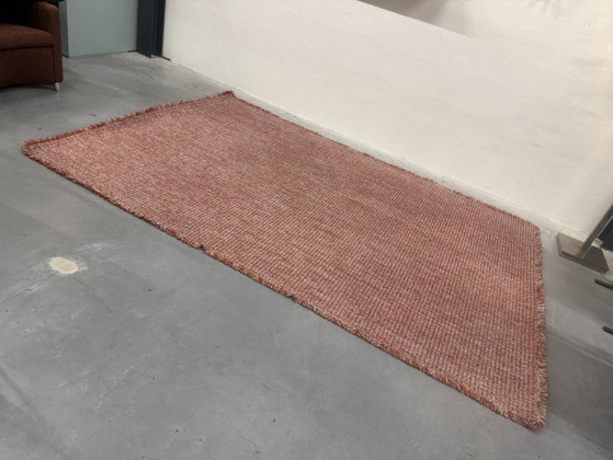 CSrugs Tweet Tappeto Rosso 220x320, CS Rugs, Tappeti, Altro, Multicolore (foto 13 di 13)