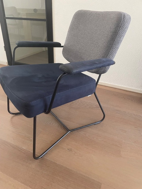 2 Stylish Armchairs - Bert Plantagie Kiko – Metal, Textile (photo 5 of 6)