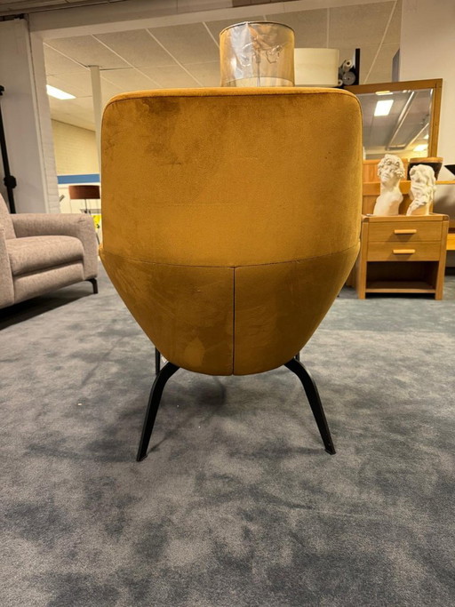 Poltrona Bert Plantagene Gold