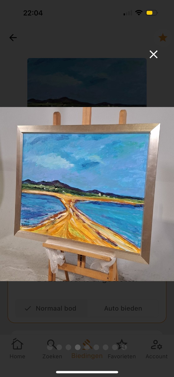 Image 1 of Bekanntes Werk von Maya Wildevuur aus dem Jahr 2008 „La Franqui“, Acryl, 70 x 90 cm