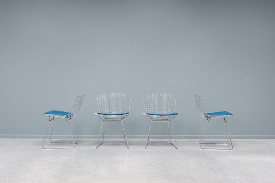 Image 1 of Sedia laterale Bertoia, 4x