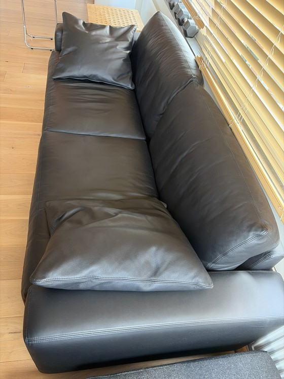 Banca della Gheldria Jan de Bouvrie – Gelderland, Divani, Leather (photo 3 of 5)