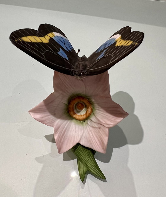 Image 1 of Franklin Mint 6 vlinders