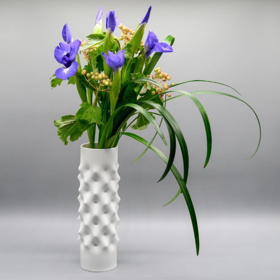 Image 1 of Vase en porcelaine biscuit Rare Vibrations, créé par Dieter Mankau pour Rosenthal Studio-Linie