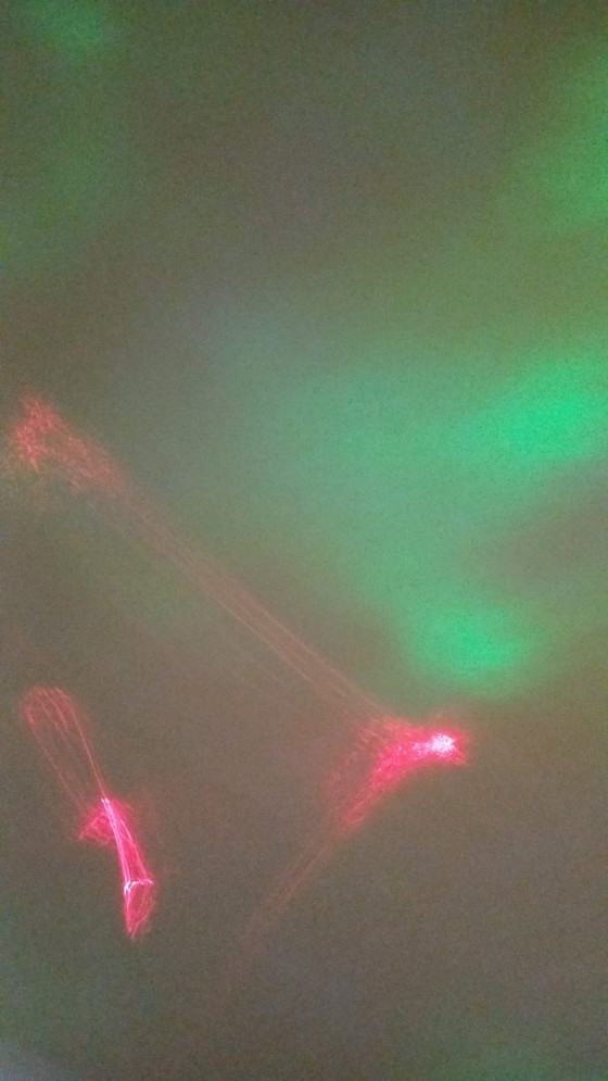 Image 1 of Licht-Laser-Projektor Noorderlicht snoezelruimte New Laser Sphere-4 Gadget