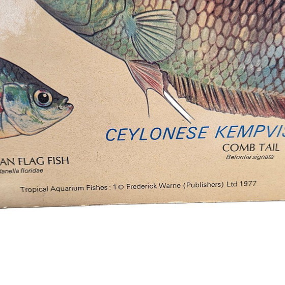 Image 1 of Vintage Engelse plaat met tropische aquarium vissen uit 1977