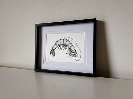 Garnelenillustration | Original und handgefertigt