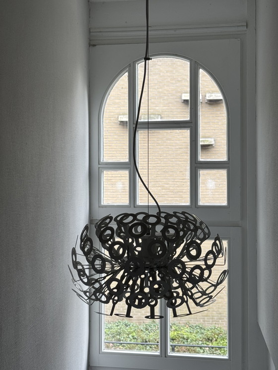 Image 1 of Lámpara colgante de diseño diente de león Moooi diente de león