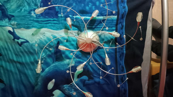 Image 1 of Ceiling Lights