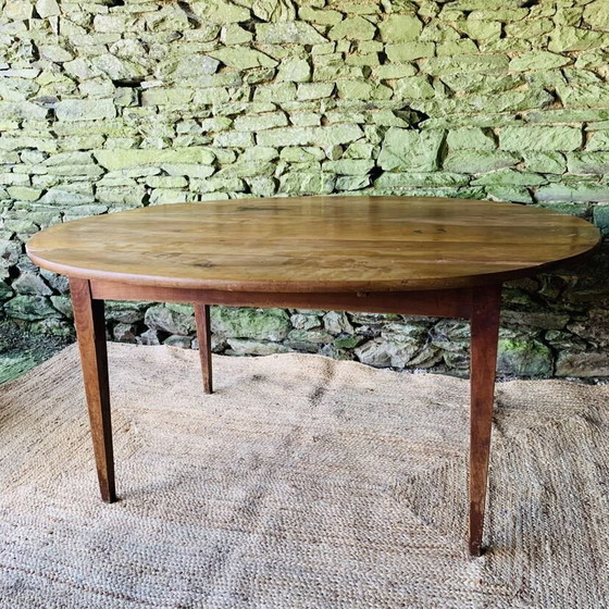Image 1 of Table de Ferme Ovale 149cm